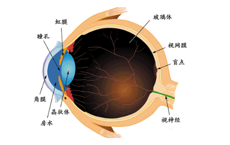 驗光師培訓(xùn)