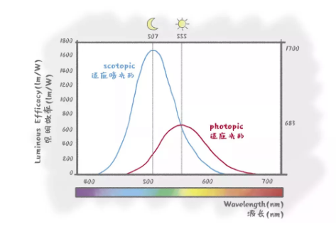 驗(yàn)光師培訓(xùn)科普：話說“防藍(lán)光”