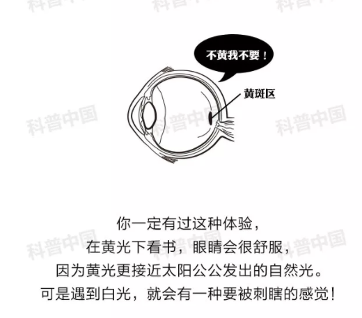 驗(yàn)光師培訓(xùn)科普：護(hù)眼燈真的能保護(hù)眼睛嗎？