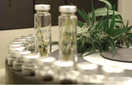美國Nemus Bioscience公司：大麻活性成分或可治療青光眼